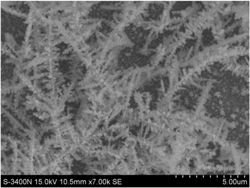 一种液相电沉积制备微纳米银枝晶的方法