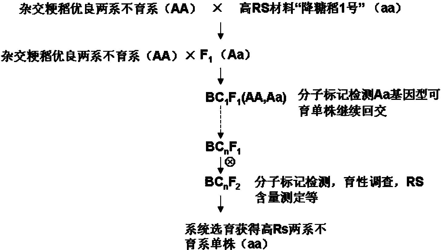 通過連續回交,結合分子標記輔助選擇以及系統育種的方法,育成農藝性狀