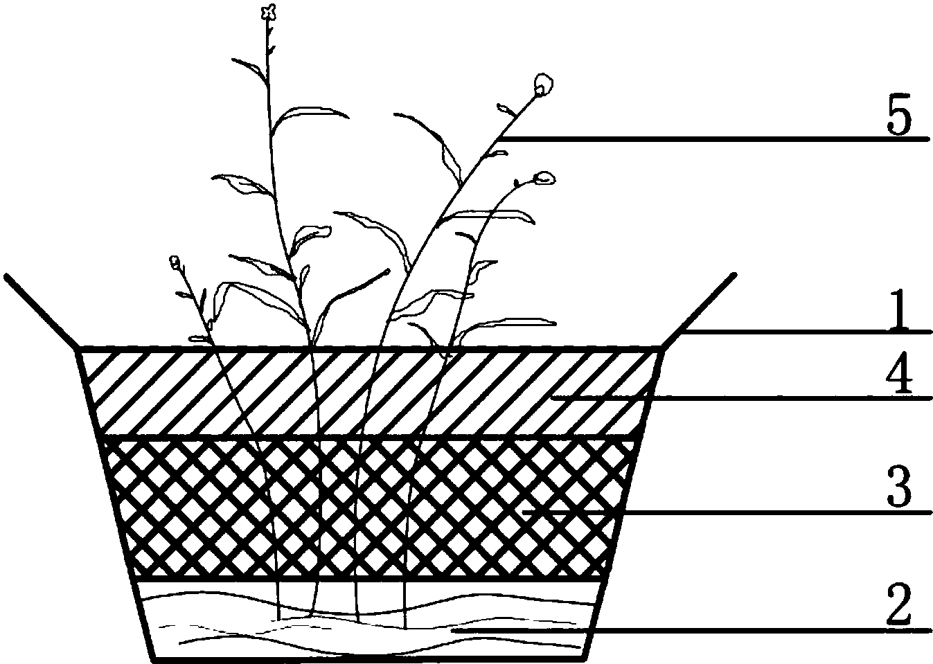 插花保水扦插装置