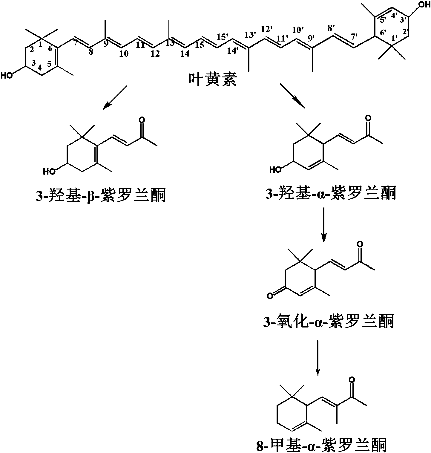 cn106399399a_一種生物降解葉黃素生償2甲基α紫羅蘭酮的方法有效