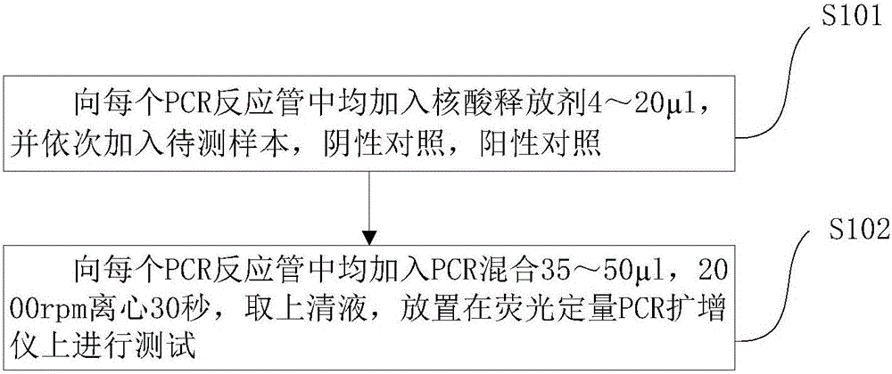 一种铜绿假单胞菌核酸荧光pcr检测试剂盒及检测方法