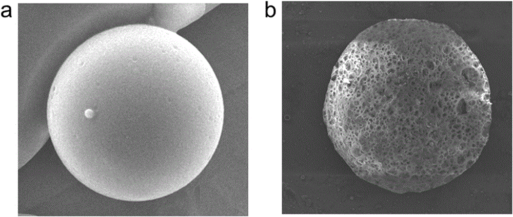 一种载药多孔纳米粒子的制备方法