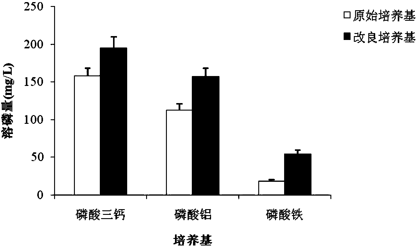 一种适合于印度梨形孢真菌生长的改良溶磷培养基