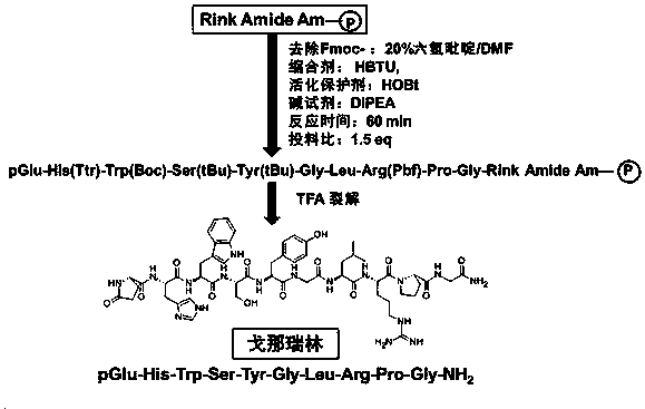 戈那瑞林兴奋试验图片