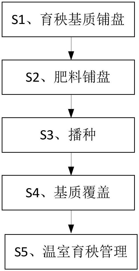 水稻育秧步骤图片