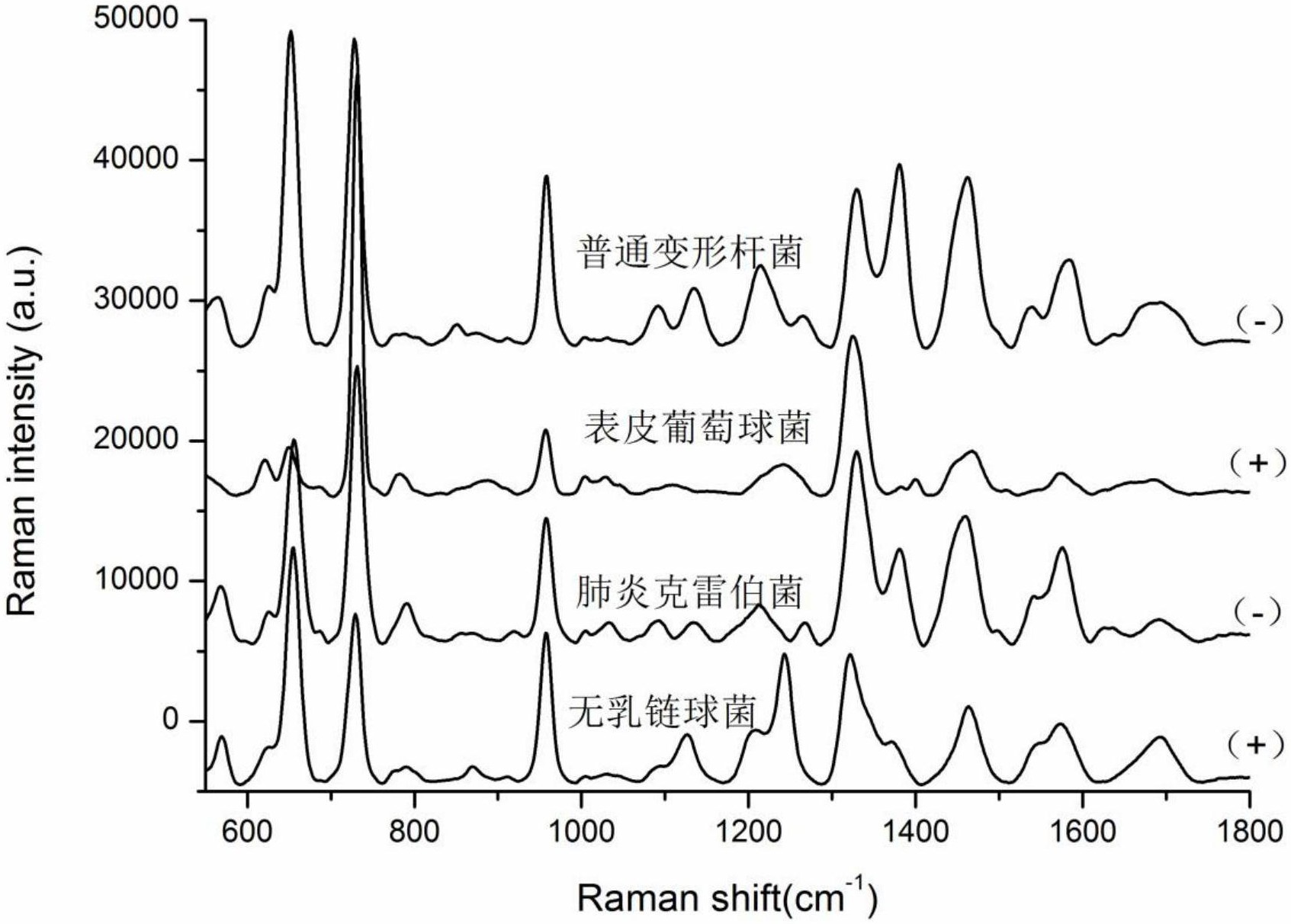 cn107586823a_基于拉曼光谱技术的碳青霉烯类药物敏感