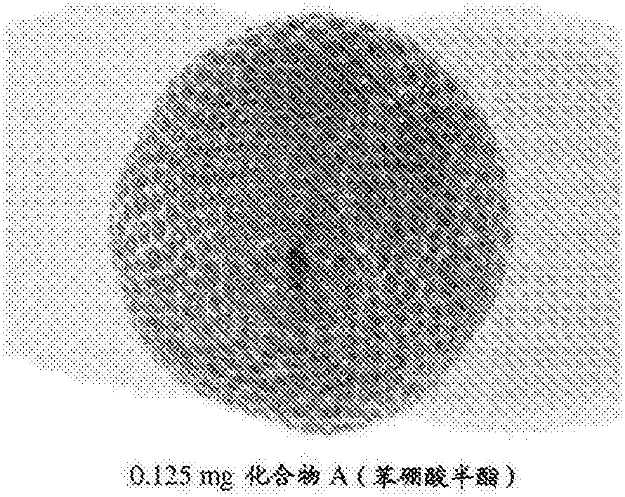 苯硼酸酯图片