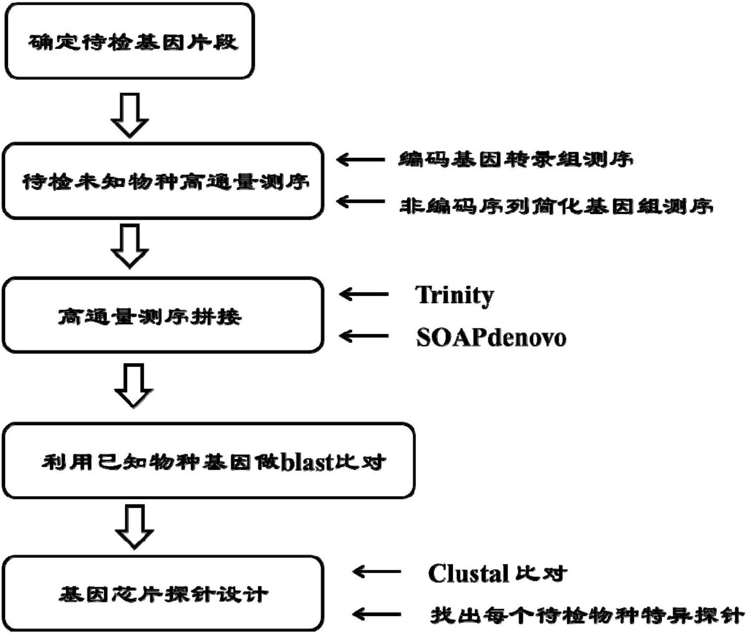 一种基于高通量测序的基因芯片探针序列的获取方法