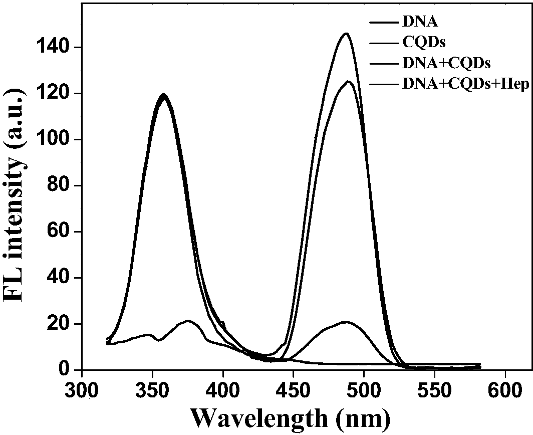 基于碳量子点猝灭的荧光标记dna的比例性荧光方法检测肝素钠