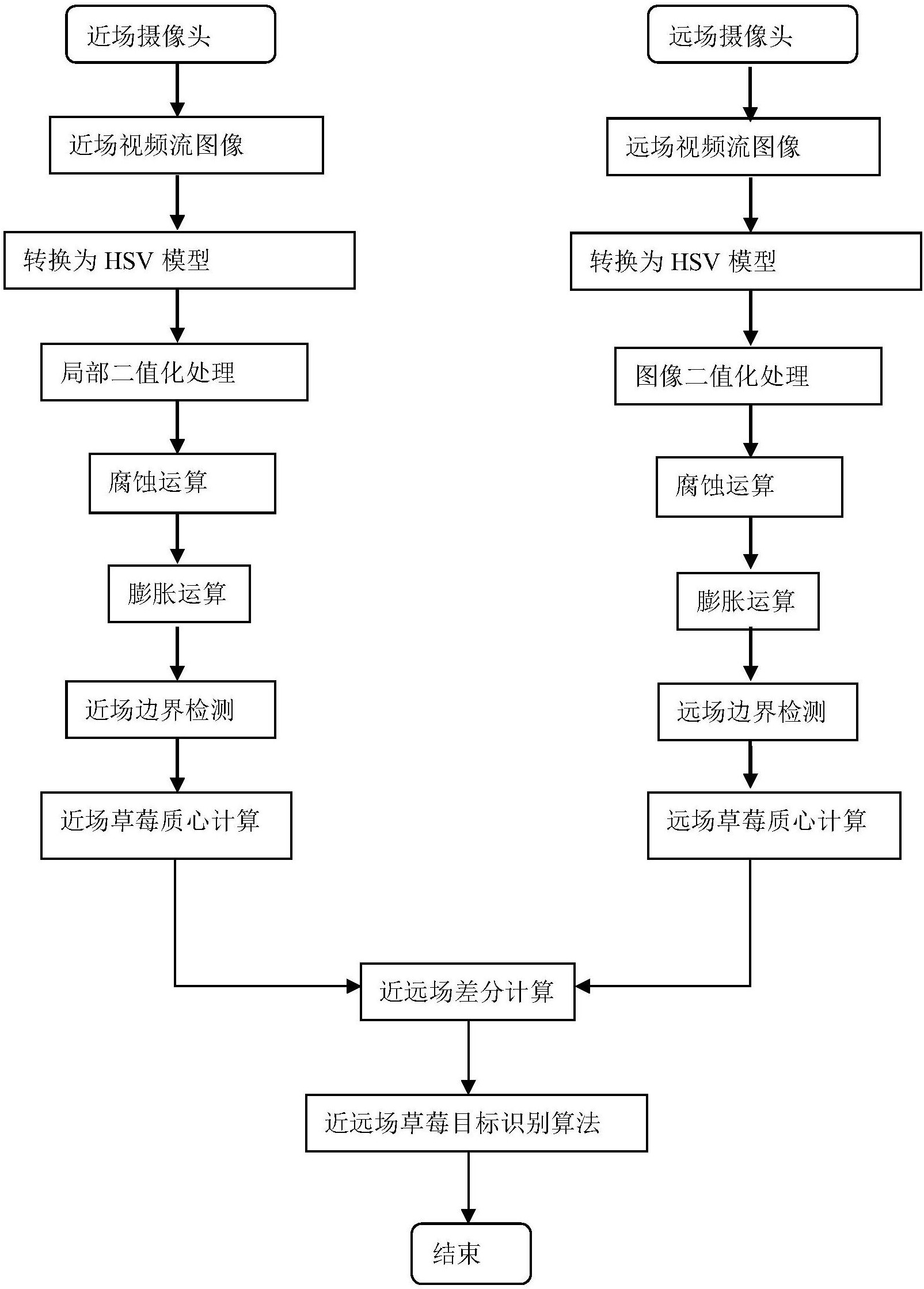 草莓采摘机器人的视觉系统