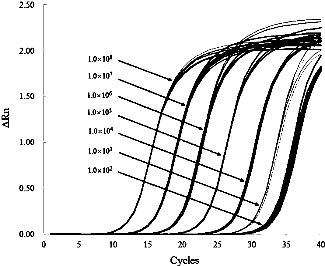 实时荧光定量pcr曲线图片