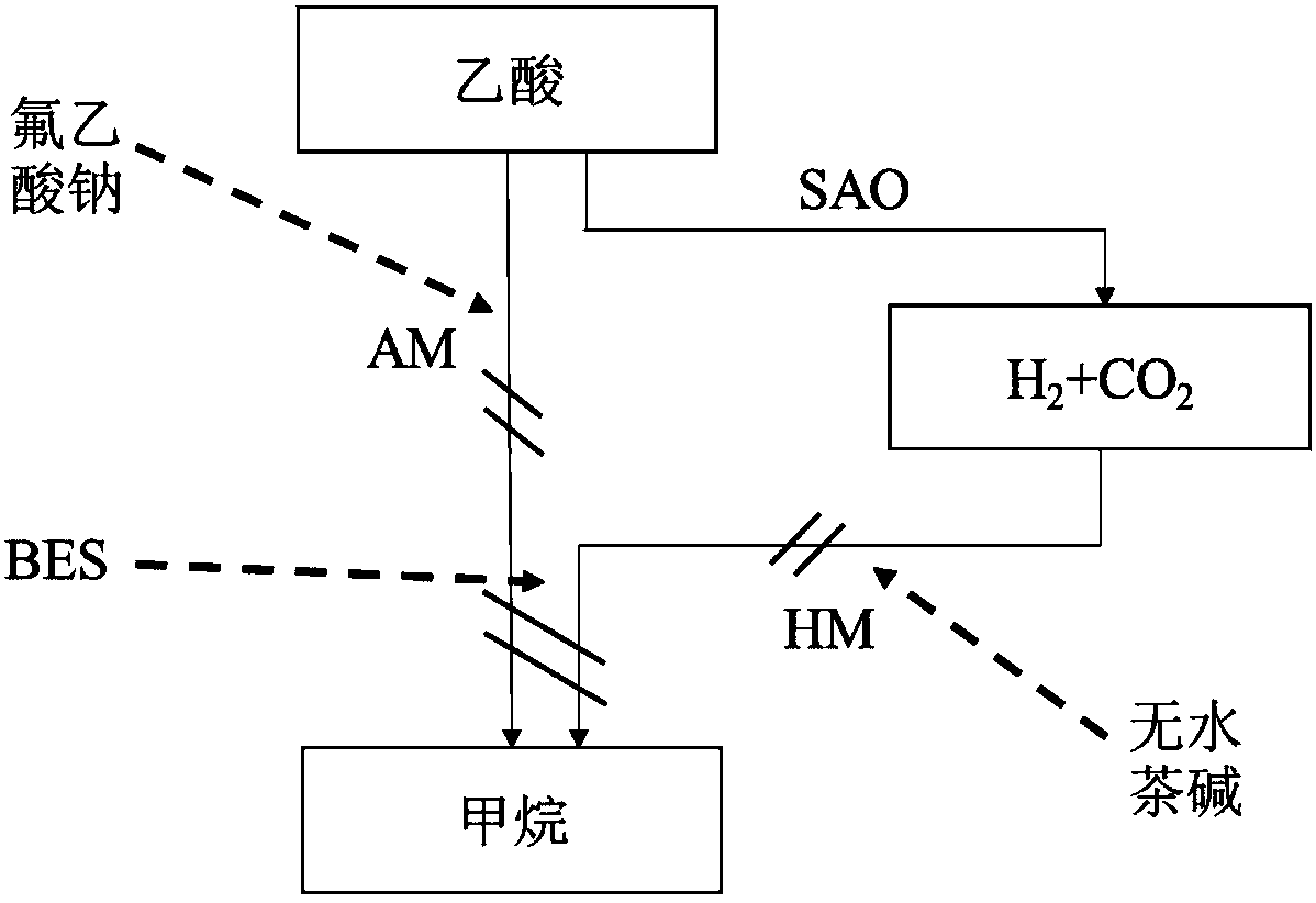 一種利用選擇性抑制劑研究產甲烷代謝途徑的方法