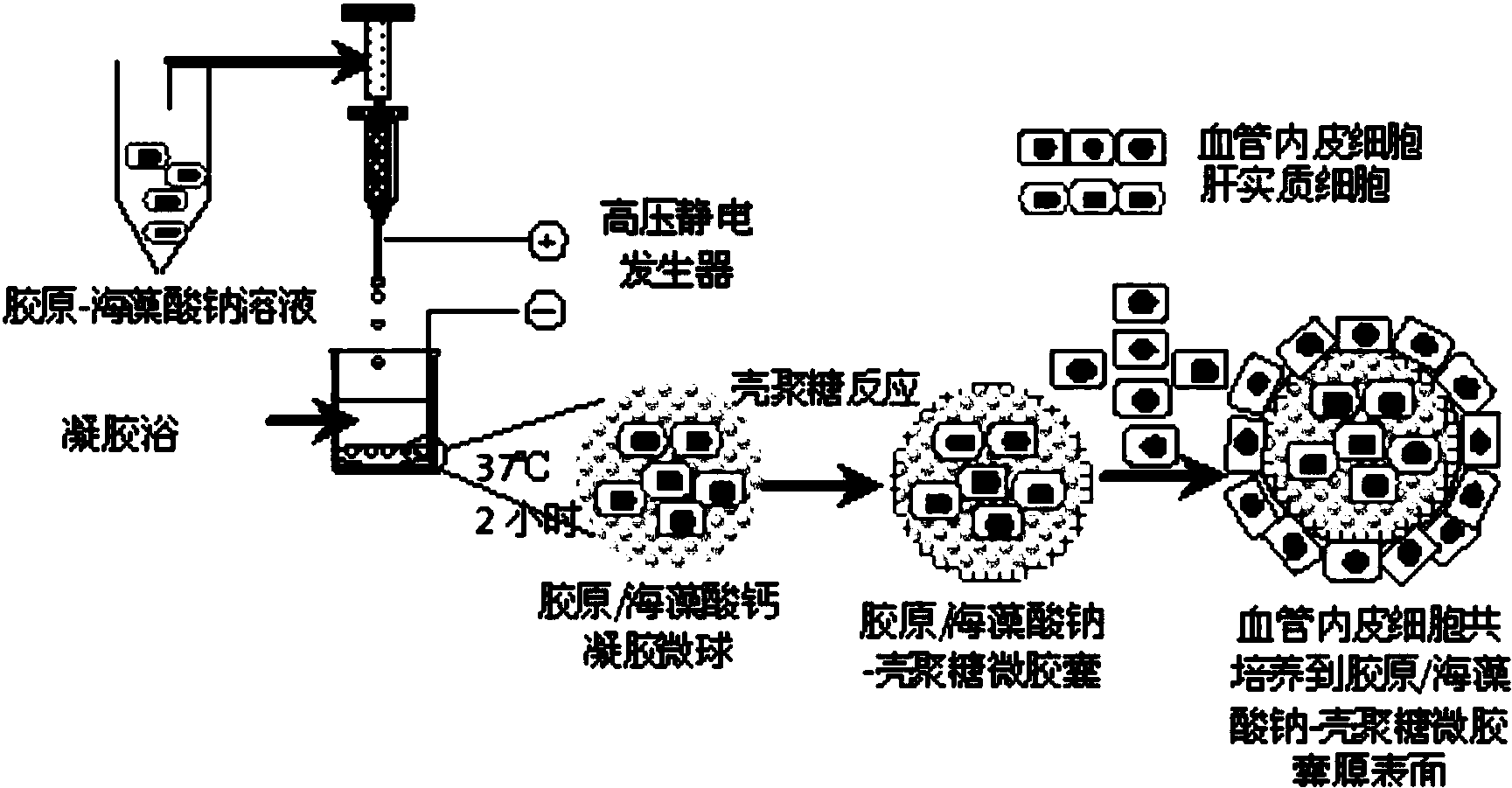 cn108102915a_一种可工程化放大的间接接触共培养体系在审