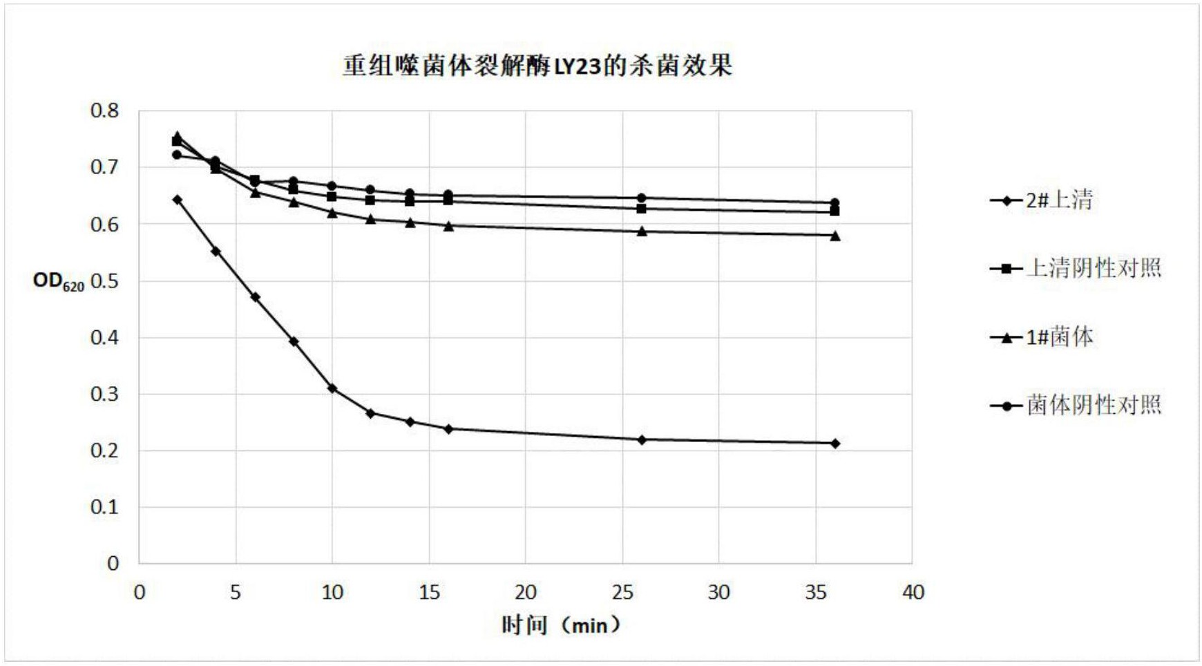 噬菌体裂解酶图片