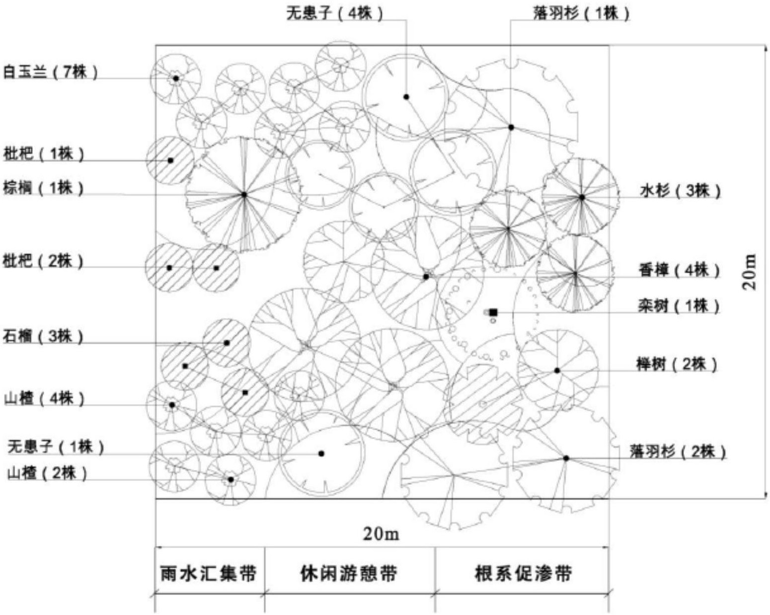 植物群落平面图图片