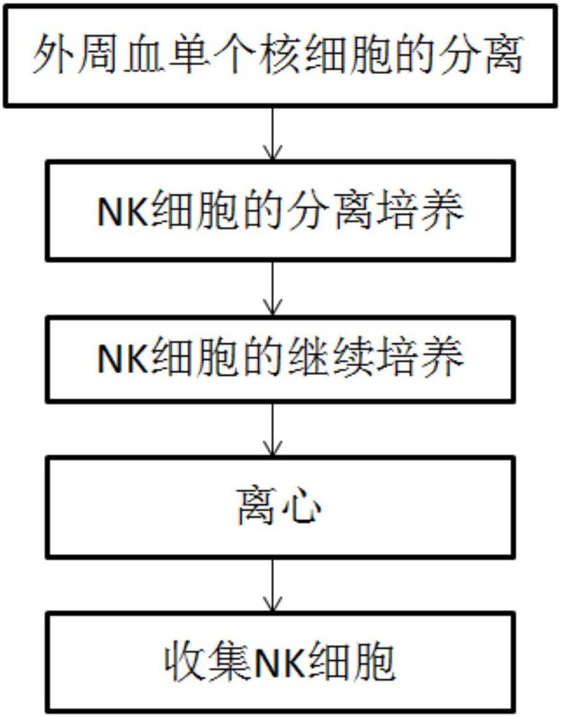 一种nk细胞的无血清培养方法