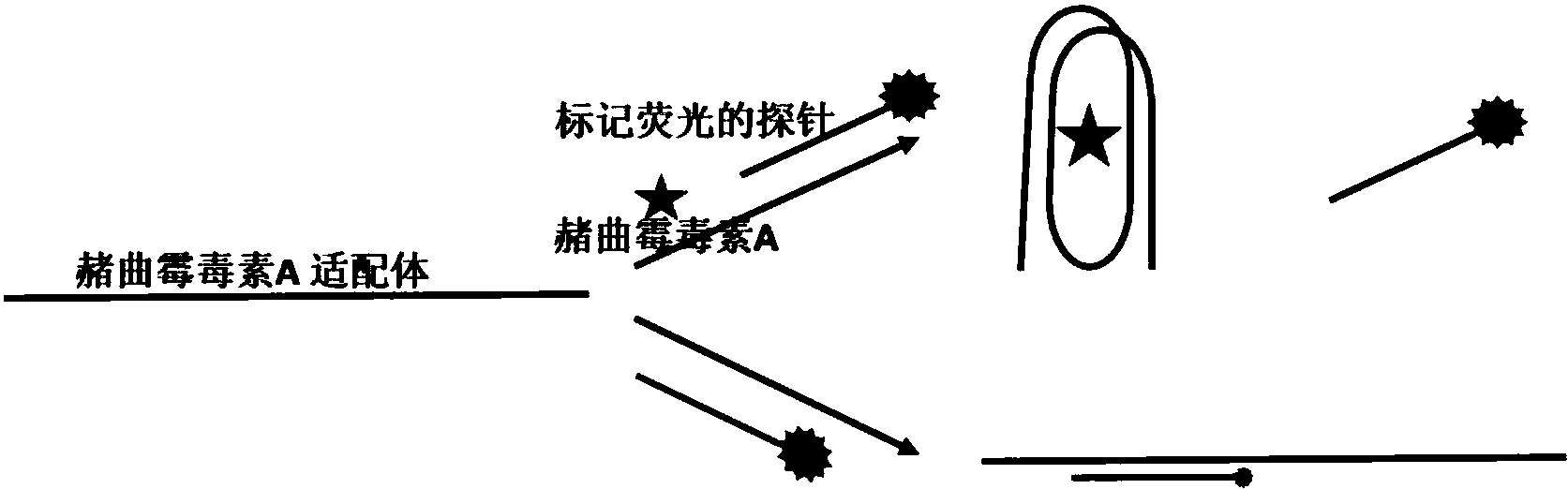一种基于碱基淬灭荧光原理实现低成本高通量核酸适配体最优序列的优化