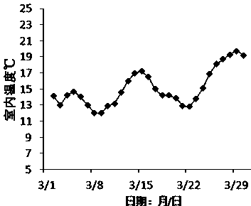 cn108391569a_一种适合南京地区的软化型菊苣栽培方法在审