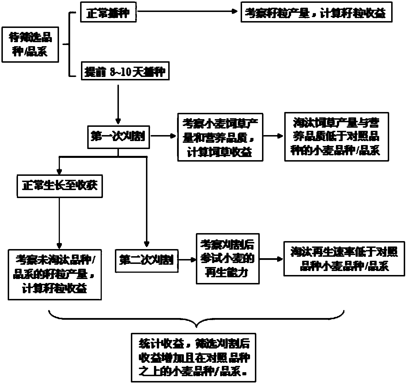 cn108617417a_陕西关中地区饲草型小麦品种/品系的鉴定方法在审