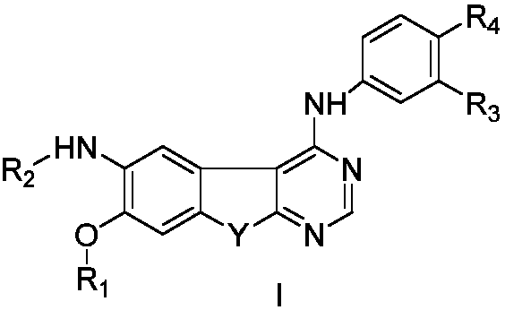 cn108676009a_作为her2酪氨酸激酶抑制剂的嘧啶衍生物及其应用在审