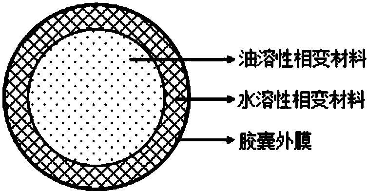 微胶囊为同心双层结构:外层为囊壁,中层为水溶层,内层为油核;其中囊壁