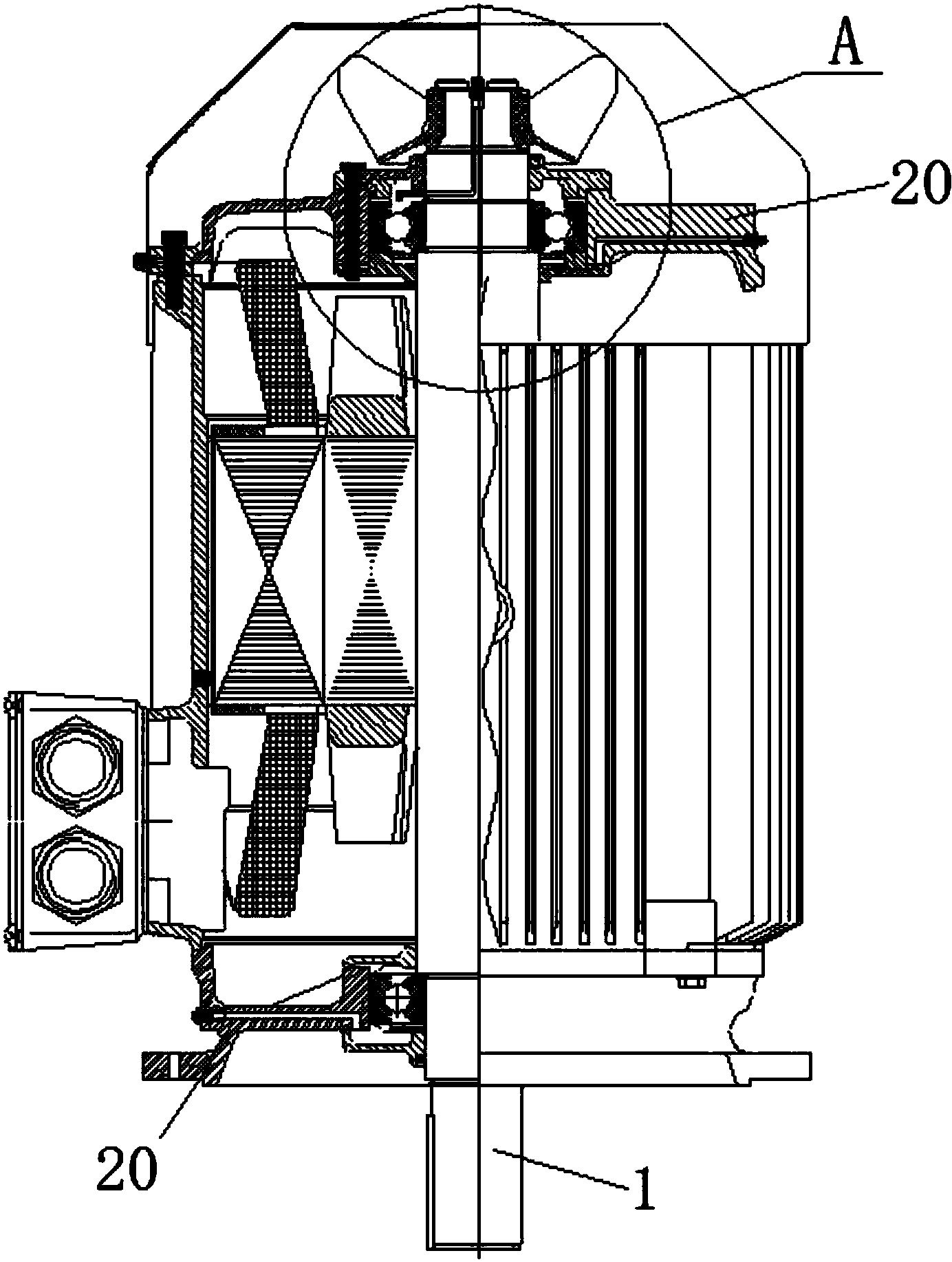 一种水泵立式电机轴承注排油结构及立式电机