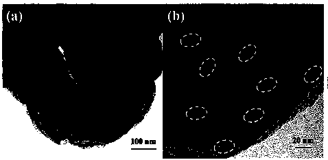 cn108906035a_一種具有高穩定性的貴金屬介孔二氧化硅催化劑及其合成