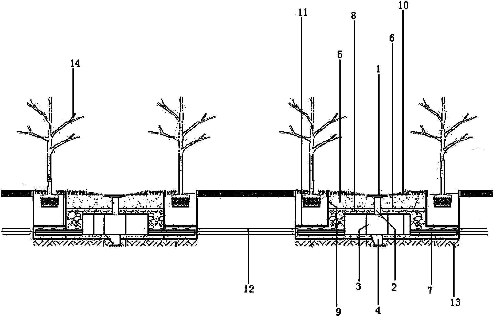 生态树池系统及施工方法