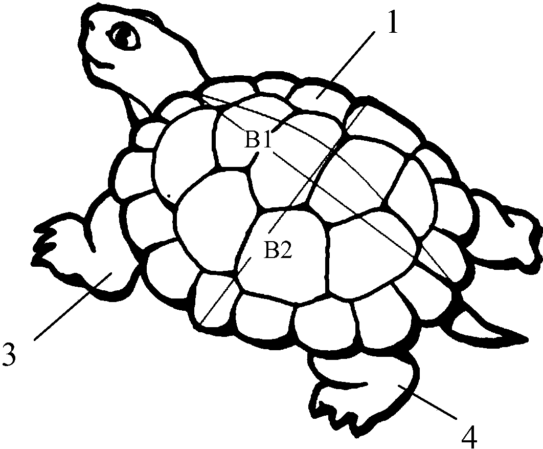 cn109077014a_黄缘闭壳龟稚龟体型的分选方法在审