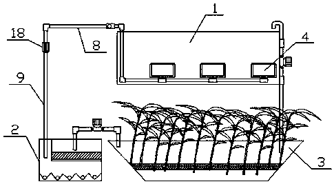 所述鱼塘的塘底埋设有集污坑,所述集污坑的底部连通有第一排污管,所述