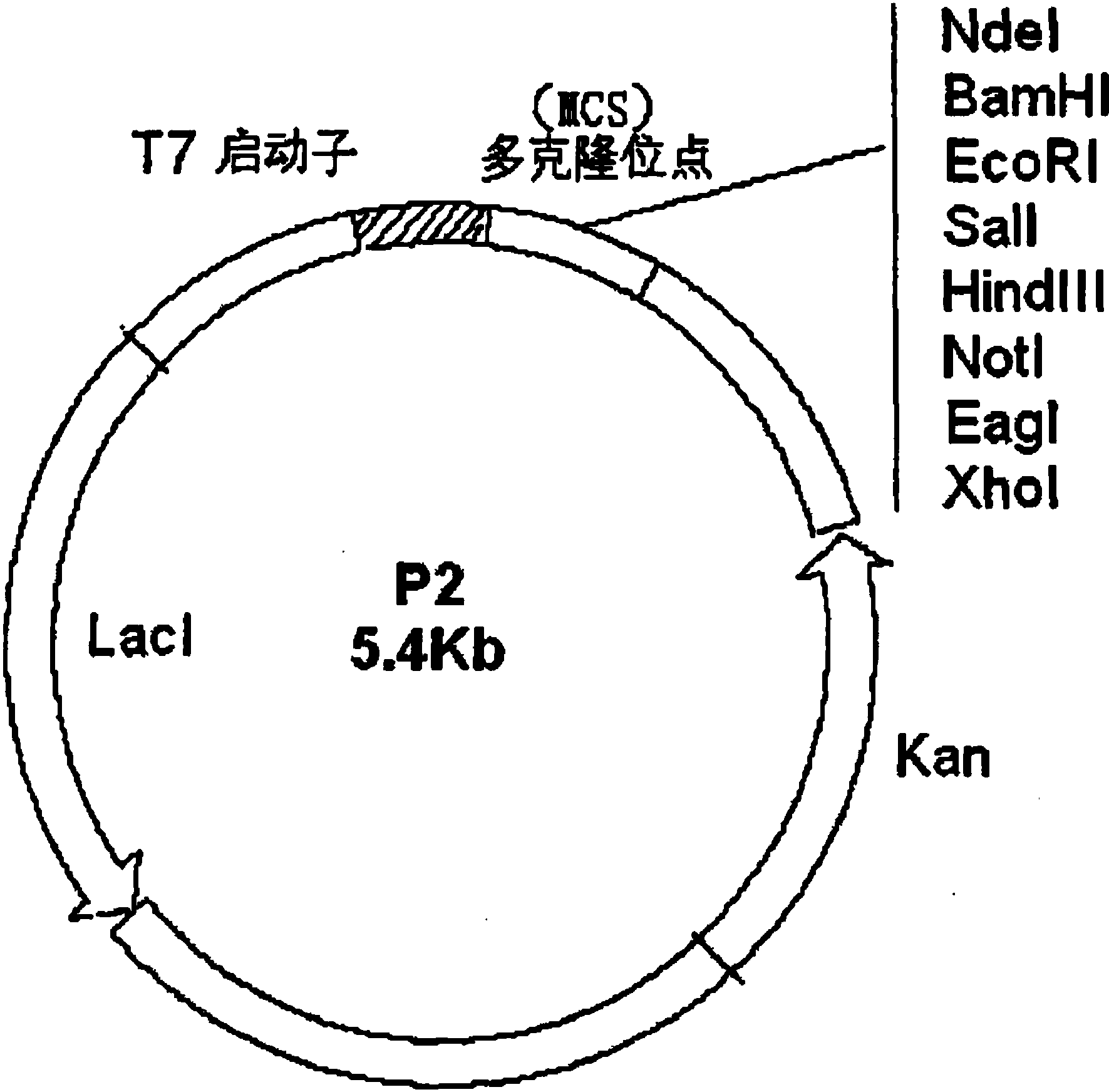 cn109324191a_间接标记纳米颗粒的抗体检测捕获法及其试剂盒在审