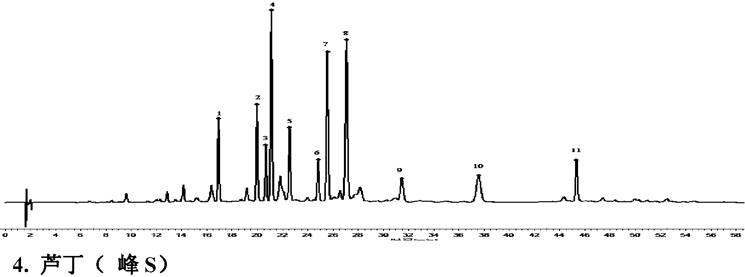 本发明涉及银杏叶提取物和含有该提取物的杏芎氯化钠注射液以及它们的