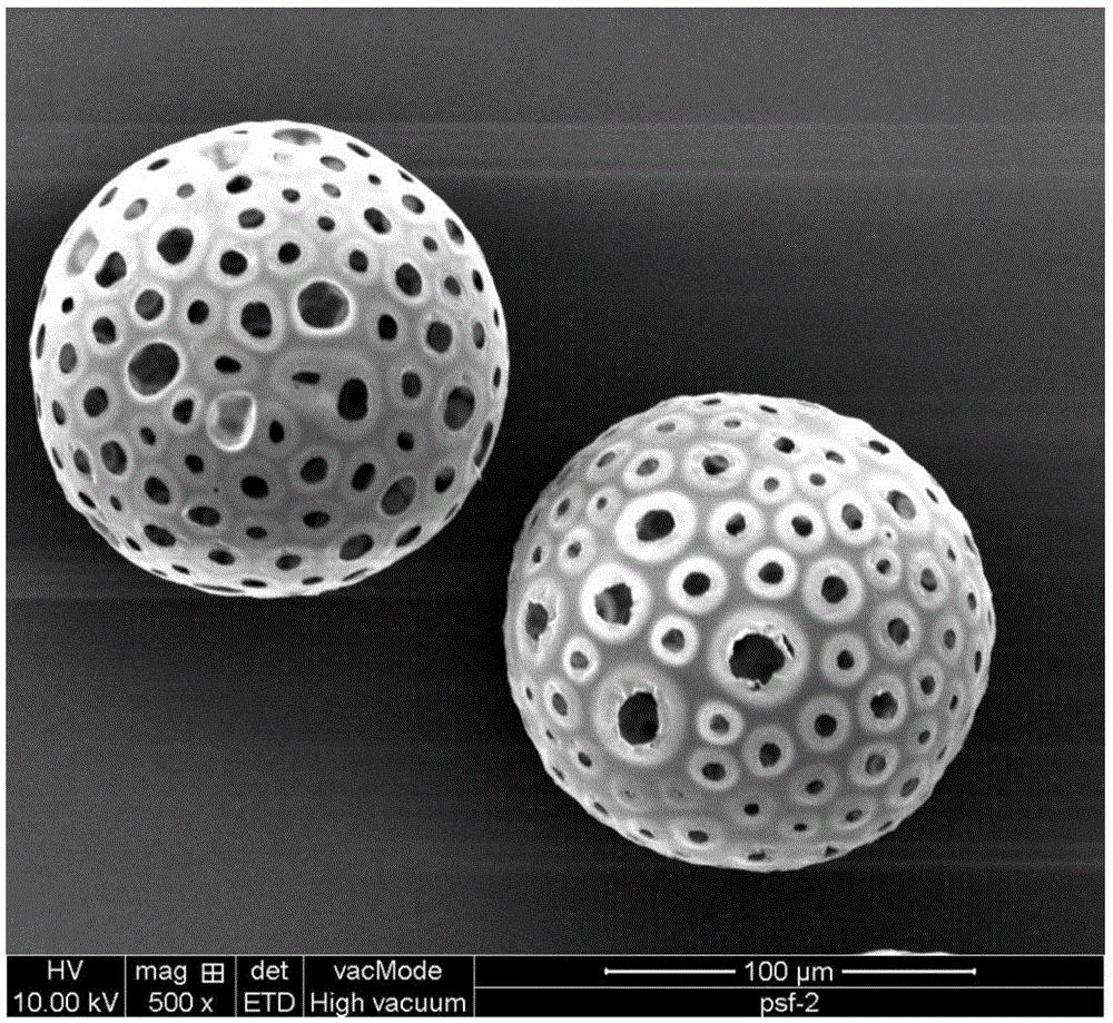 多孔核壳球体图片