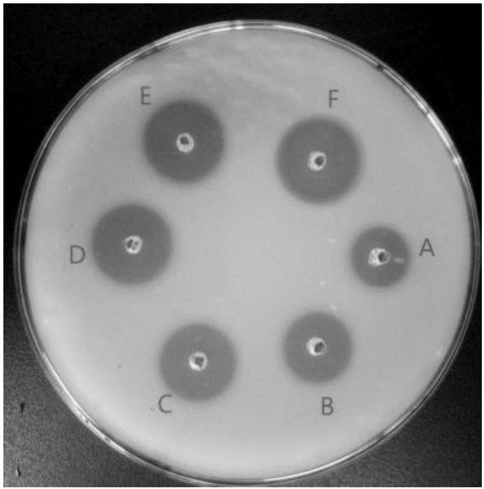 cn109652355a_一种降糖纳豆芽孢杆菌及制备方法和应用在审
