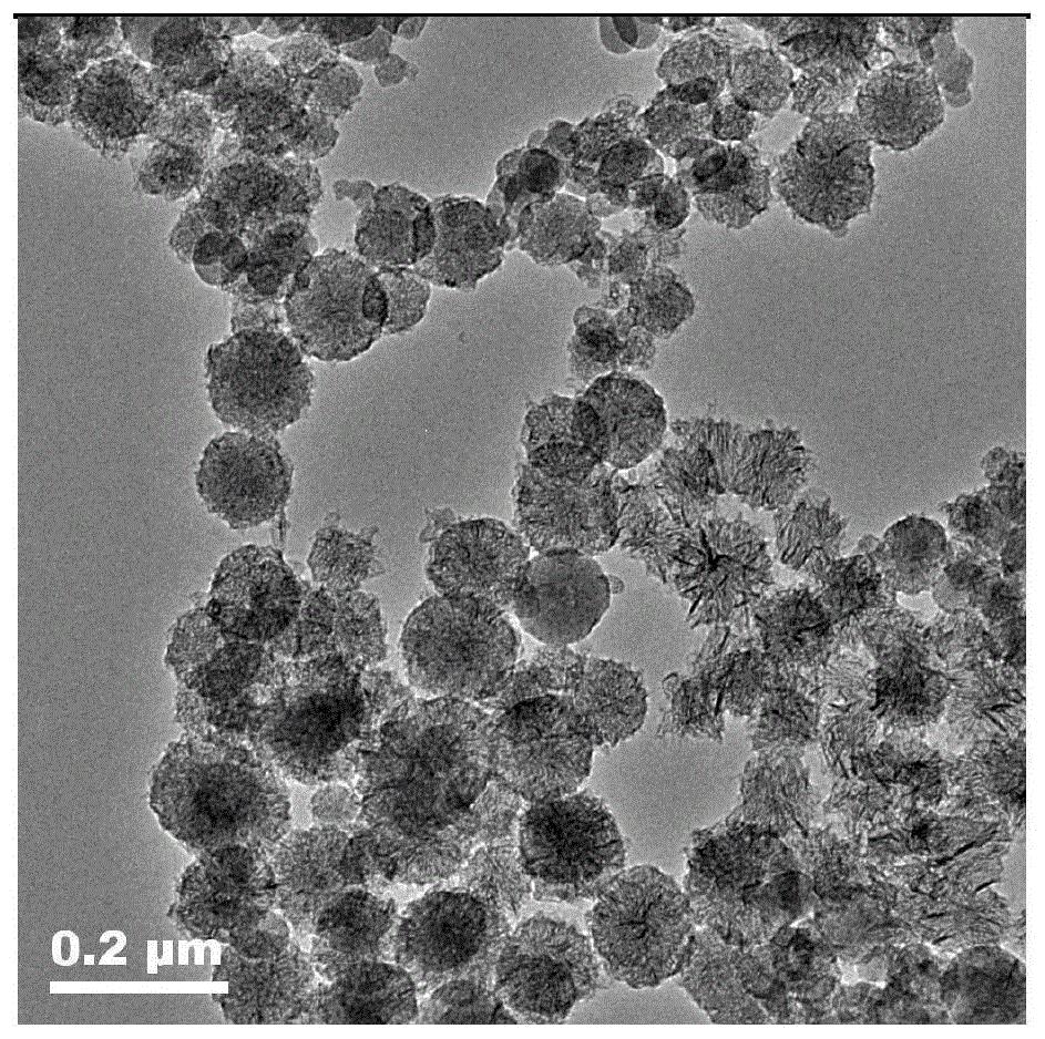 一種pt/mno2@碳納米角複合材料及其製備方法和應用