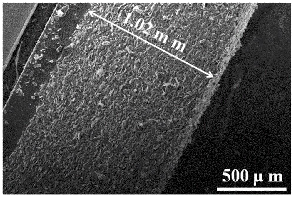 碳纳米管石墨烯聚合物电磁屏蔽材料其制法及应用