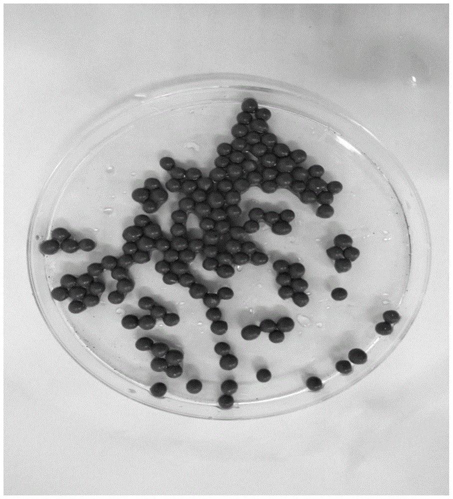 一种含铁锰氧化物的海藻酸钠壳聚糖复合凝胶微球吸附除砷材料及其制备