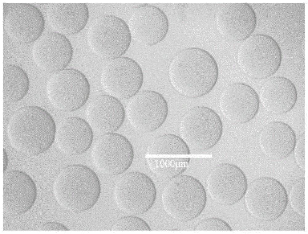 大粒径琼脂糖微球及其制备方法