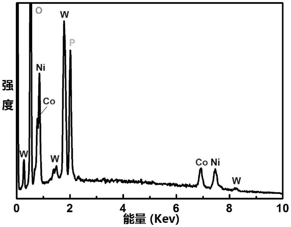 磷化二钴@钨酸镍核壳异质结材料及其制备方法与应用