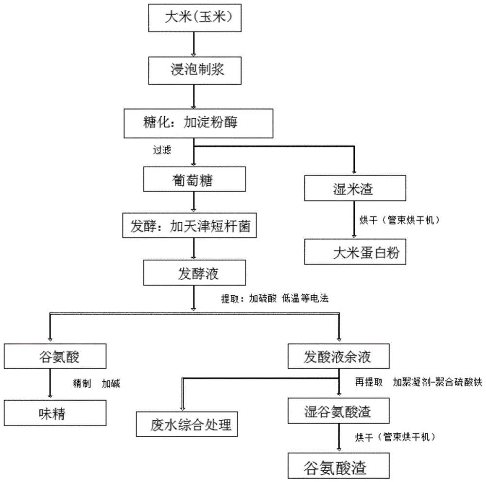 谷氨酸钠制作工艺流程图片