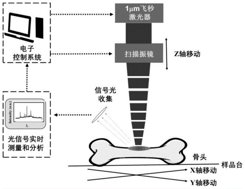 cn110090075a_一種基於光信號監測的飛秒激光骨加工定位和加工方法在