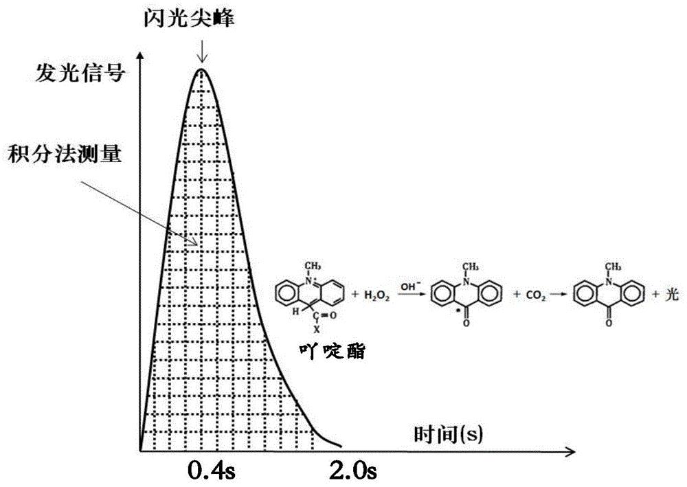 一種基於吖啶酯化學發光鏈黴親和素磁珠生物素放大反應體系及檢測試劑