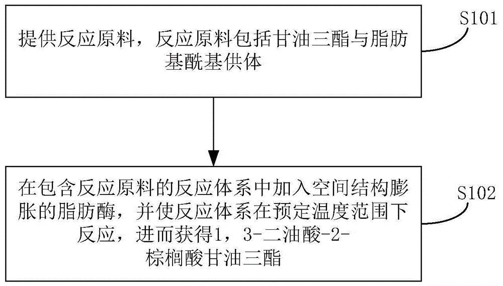 1,3-二油酸-2-棕榈酸甘油三酯的制备方法