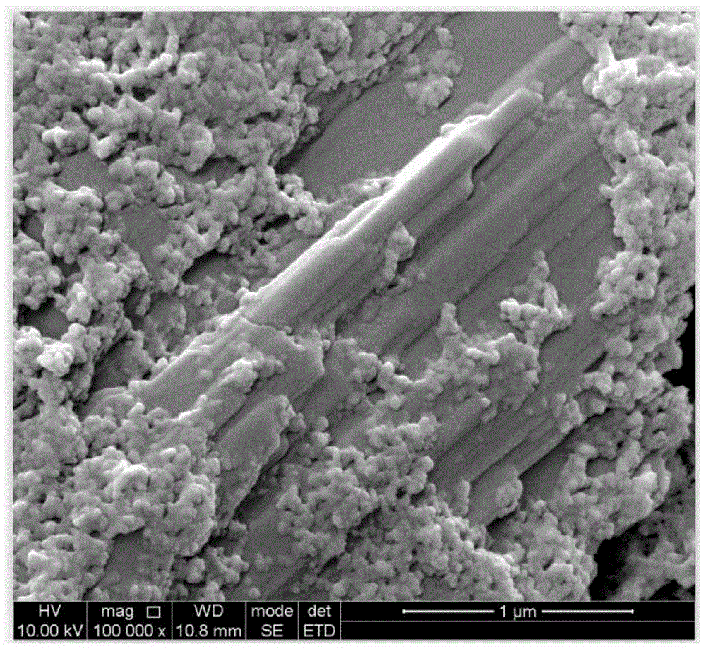 高生物矿化活性的无定型磷酸钙/柠檬酸钙复合粉体及
