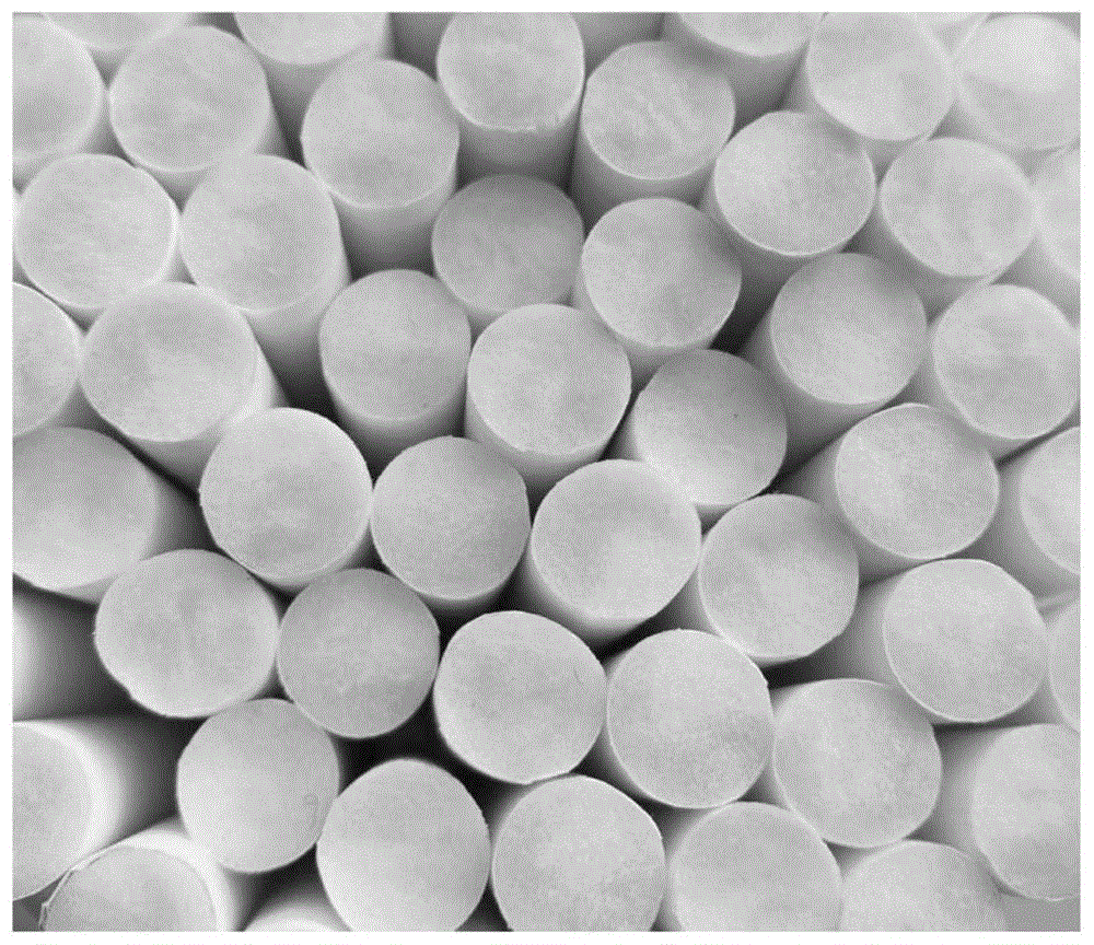 cn110292202a_一种pla幻彩过滤材料及制备方法在审