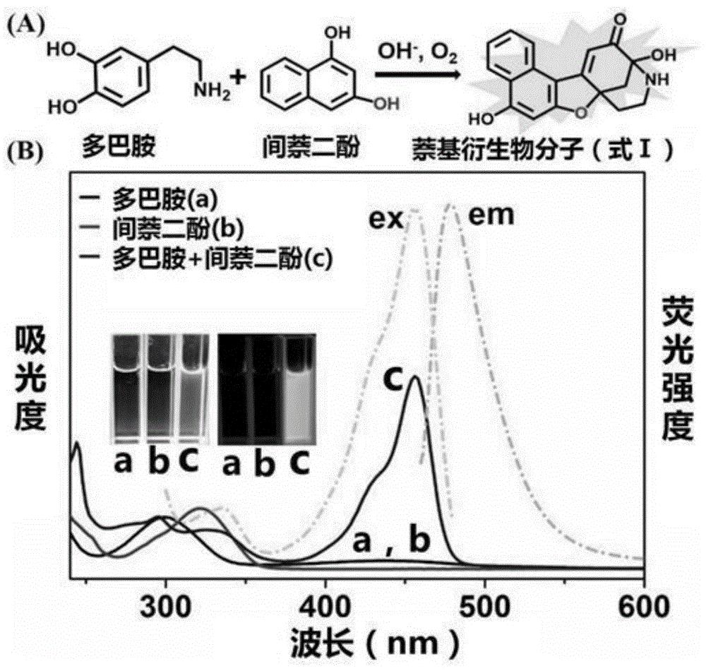 一种萘基衍生物分子及其制备方法和多巴胺的检测方法
