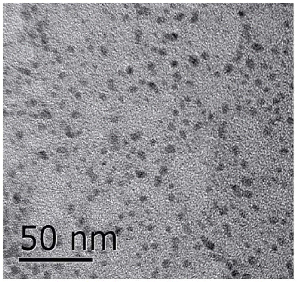 本发明公开了一种荧光碳点及其制备方法和应用,将左