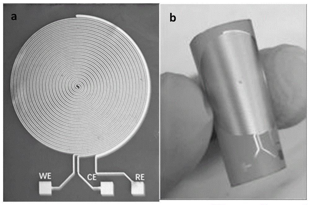 一种汗液检测葡萄糖的纳米多孔金无酶柔性传感电极及其制备方法与应用