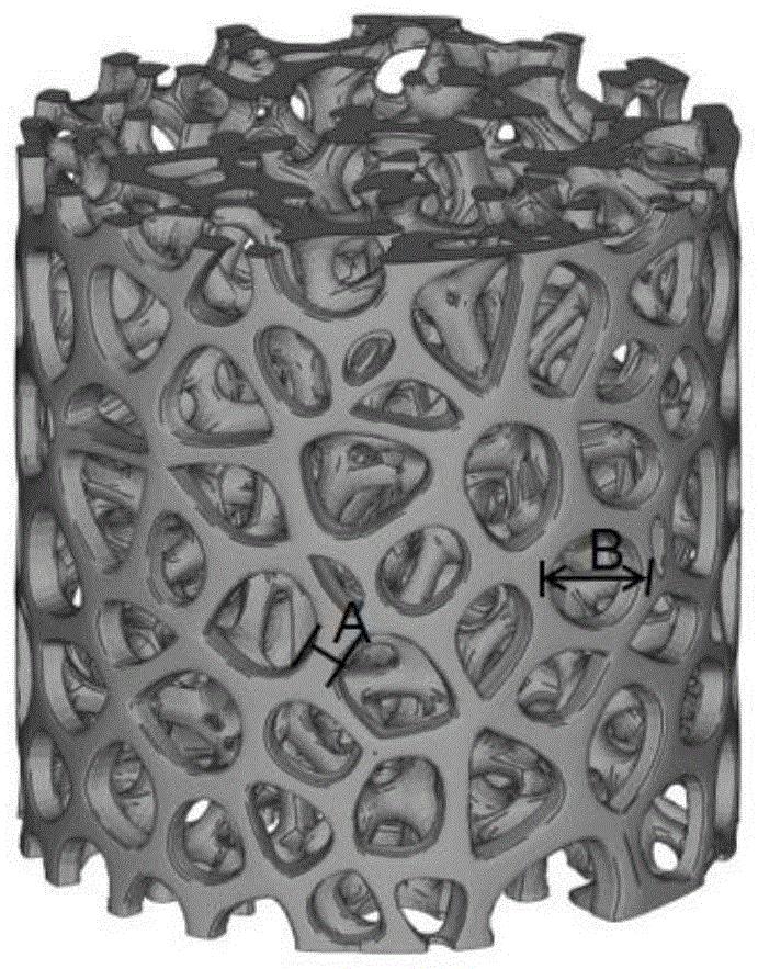 cn110507850a_一种仿生三维骨小梁结构多孔钽及其制备方法在审