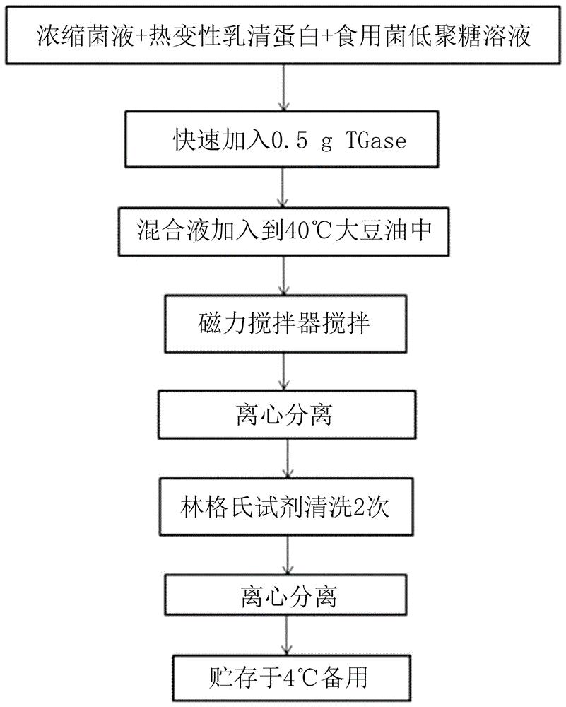 一种含有食用菌低聚糖的益生菌微胶囊制备方法